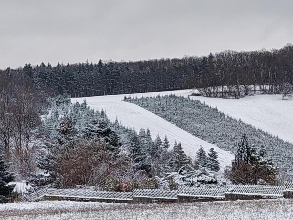 Pension Welserhof Wilfersdorf  Exteriér fotografie