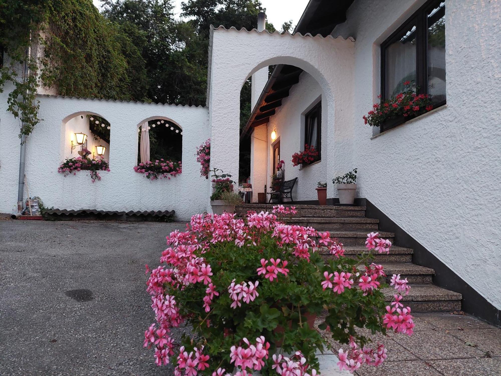 Pension Welserhof Wilfersdorf  Exteriér fotografie